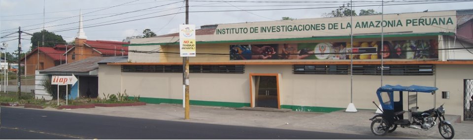 Frontis sede central IIAP - Iquitos